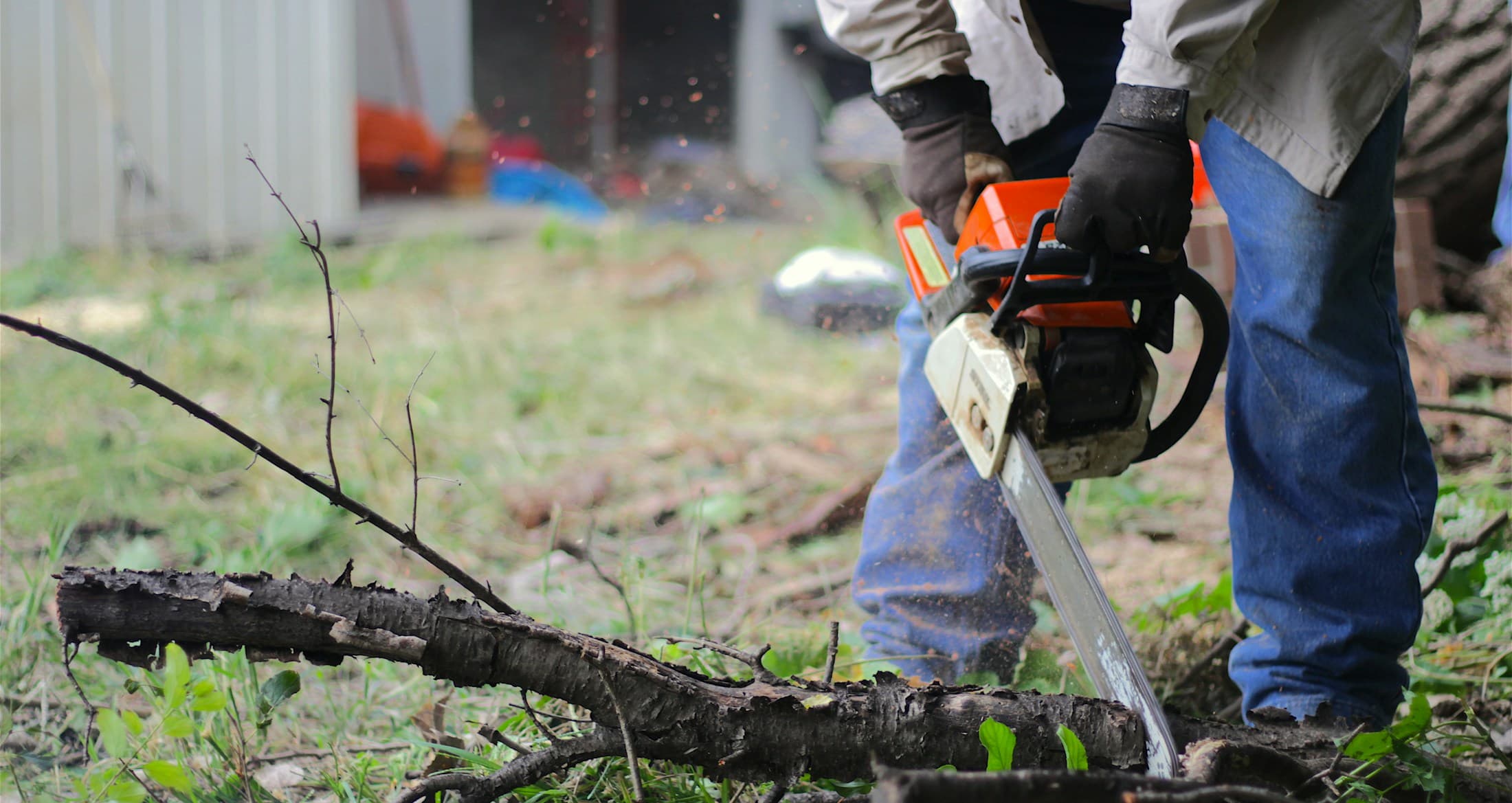 Tree Service