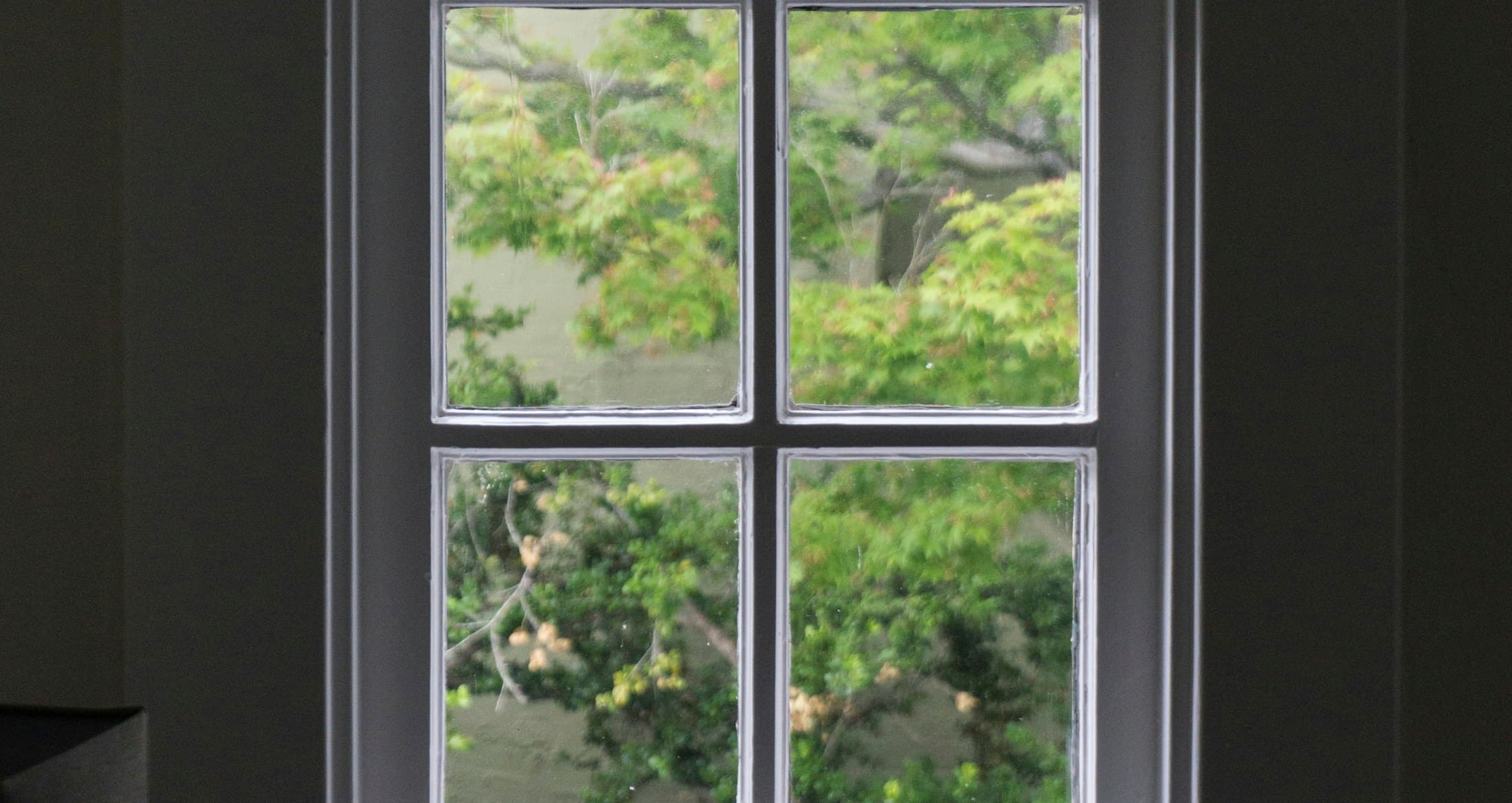Windows & Doors